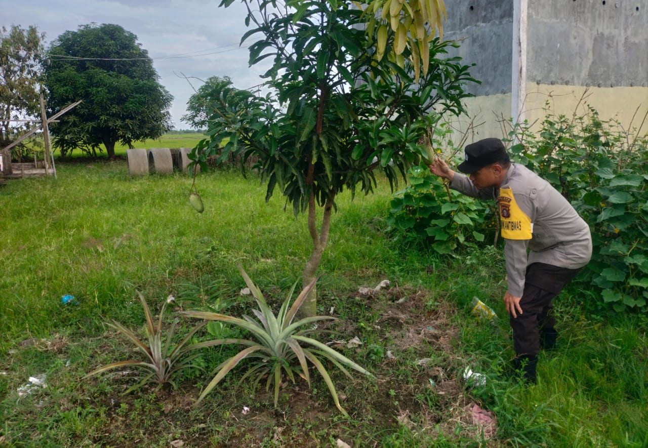 Bhabinkamtibmas Desa Kampung Tengah Cek Lokasi Pemanfaatan Lahan Pekarangan Warga