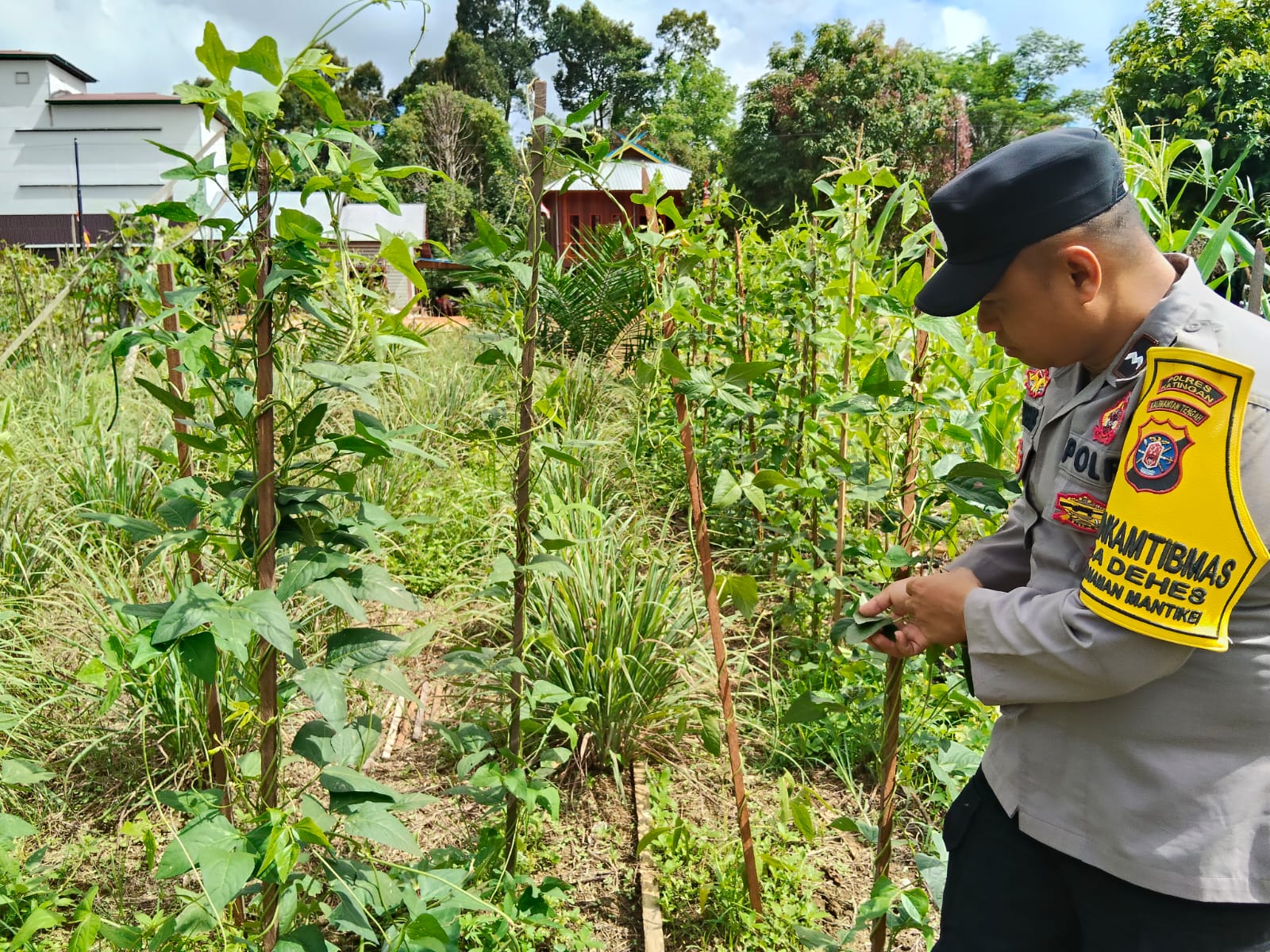 Mendukung Ketahanan Pangan, Personil Polsek sanaman mantikei Cek Lokasi Pemanfaatan Pekarangan Warga.