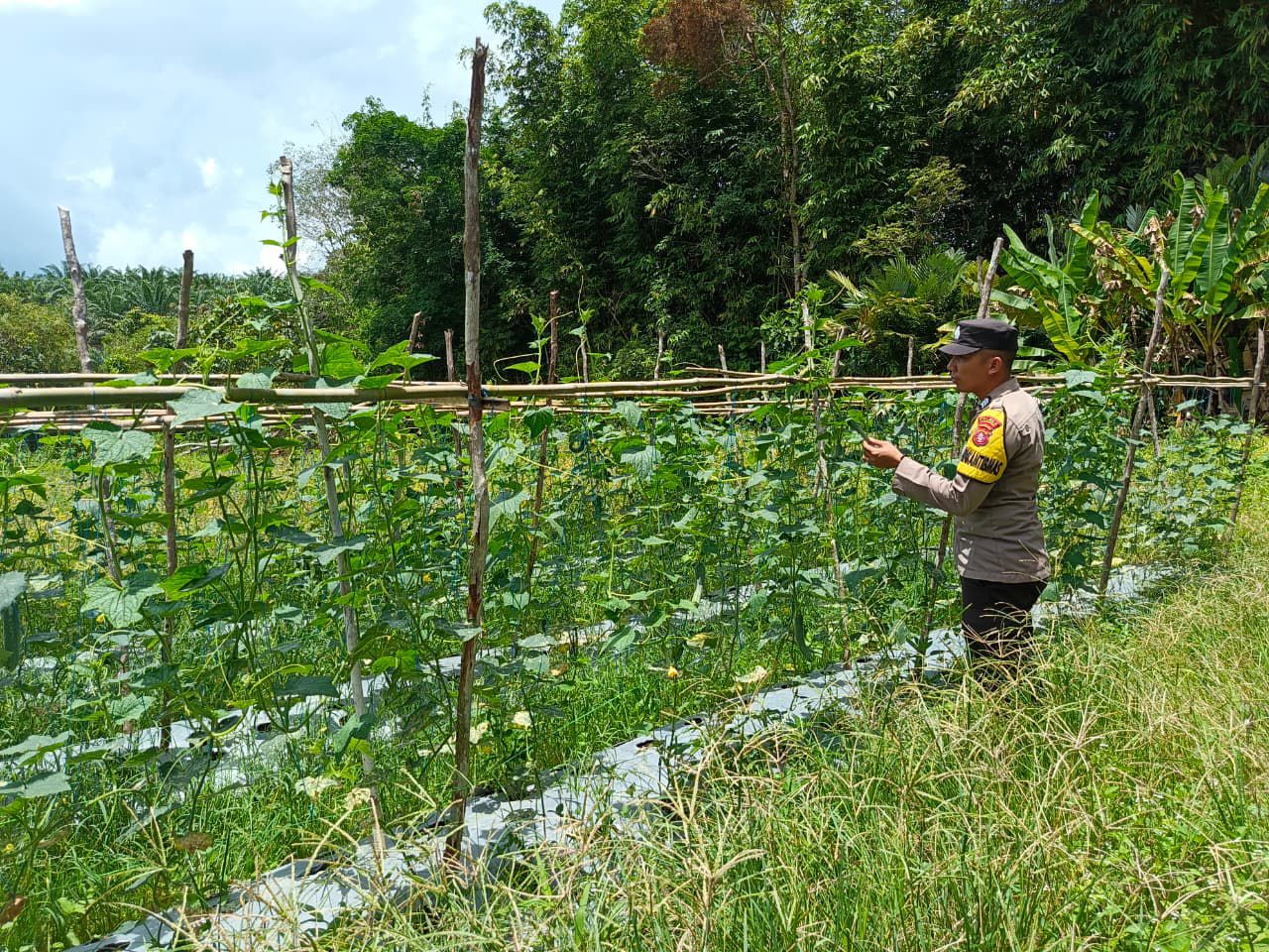 Dukung Ketahanan Pangan, Bhabinkamtibmas Polsek Delang Silaturahmi ke masyarakat terkait Program Asta Cita Presiden RI