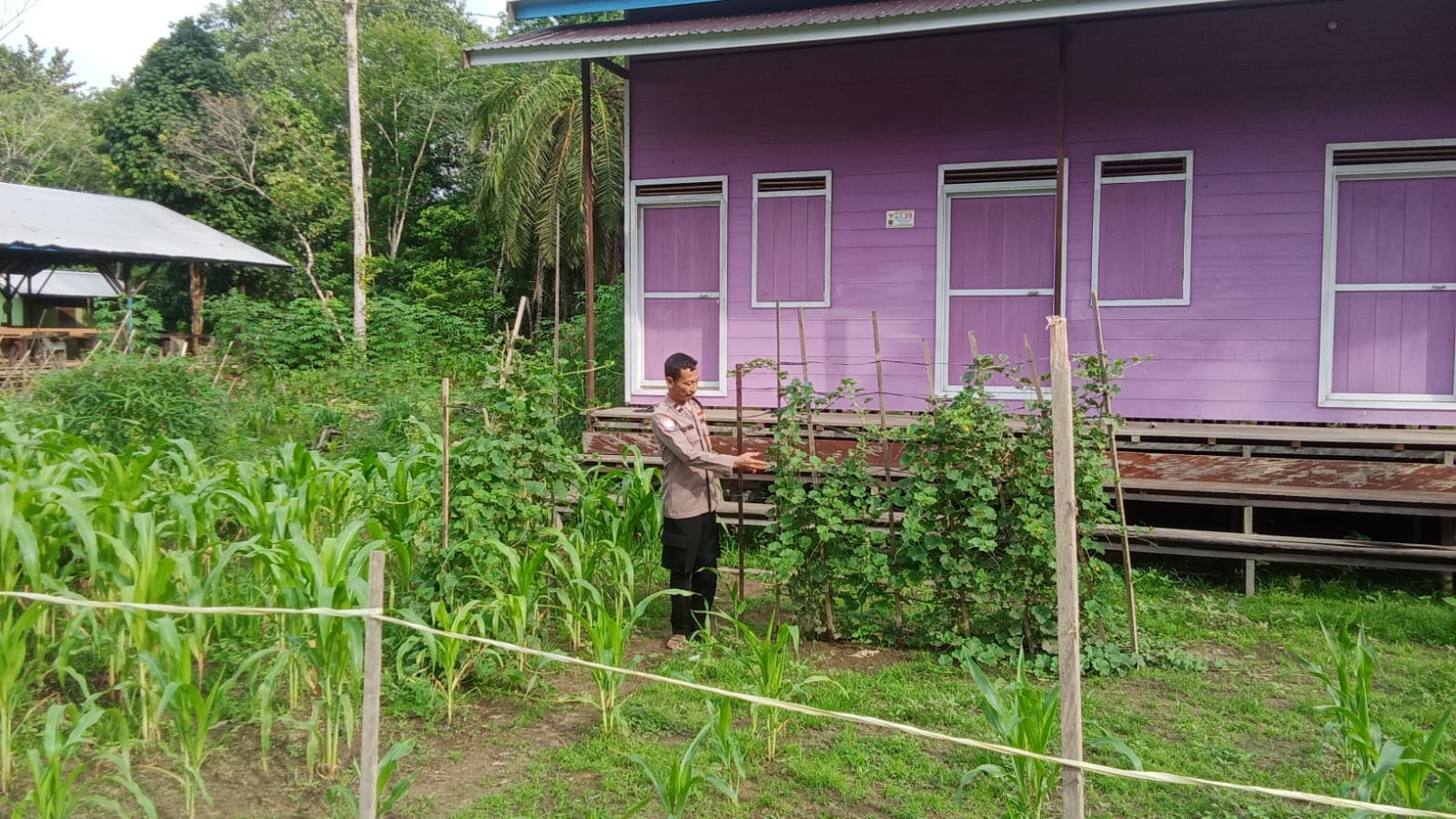 Mendukung Ketahanan Pangan, Personil Polsek Katingan Hulu Cek Lokasi Pemanfaatan Pekarangan Warga.