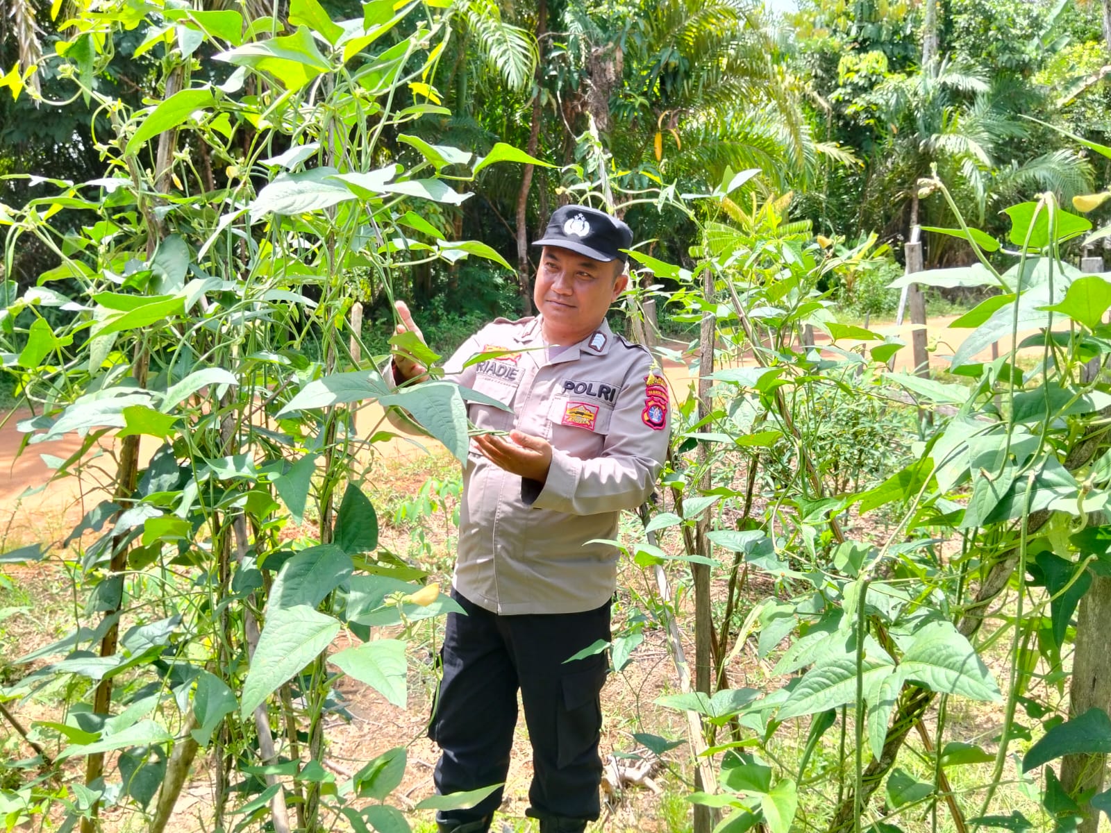 Polsek Marikit Cek Lokasi Pemanfaatan Pekarangan Warga di Kec. Marikit, Kab. Katingan Dukung Program Ketahanan Pangan Asta Cita Pemerintah