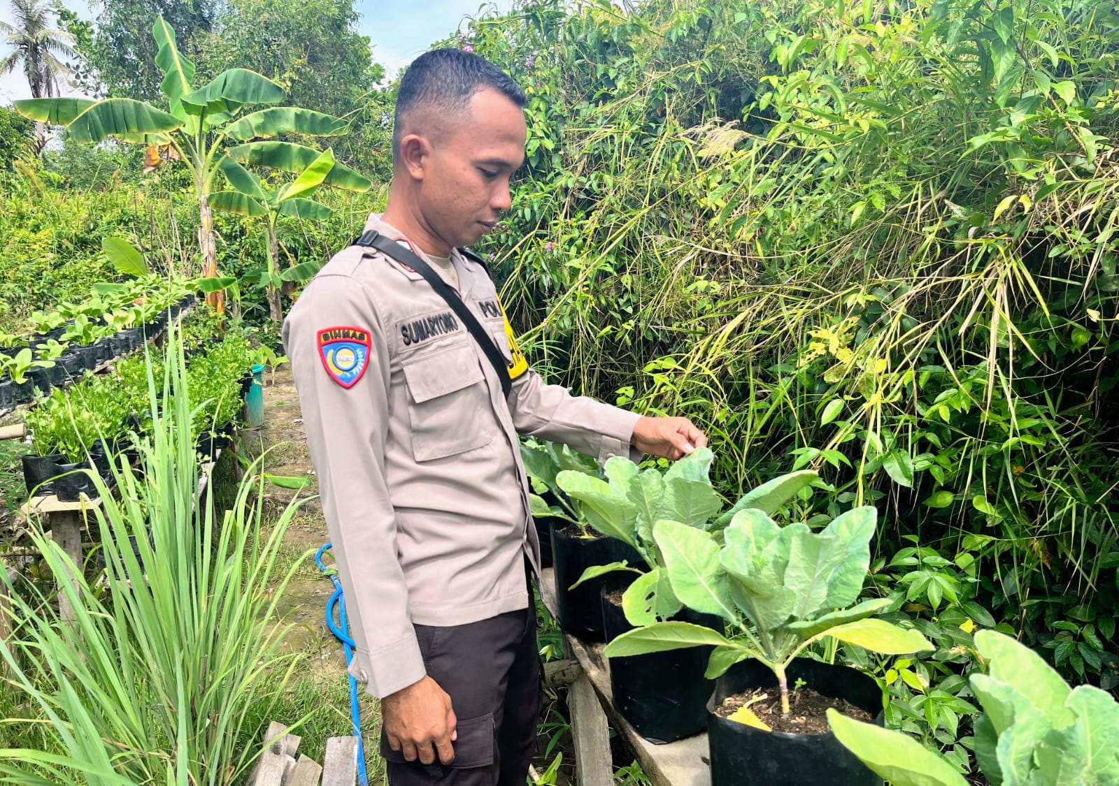 Dalam Rangka Mendukung Ketahanan Pangan, Personil Polsek Katingan Kuala Melakukan Pengecekan Lokasi Pemanfaatan Lahan Pekarangan Warga