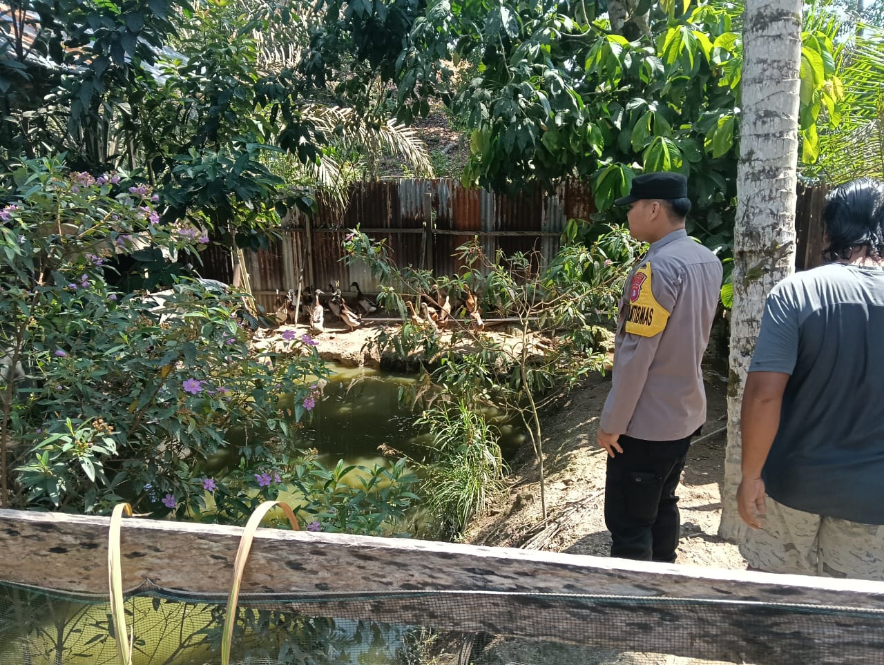 Dukung Program Ketahanan Pangan, Bhabinkamtibmas Desa Binaanya Sambang Peternak Ayam Kampung