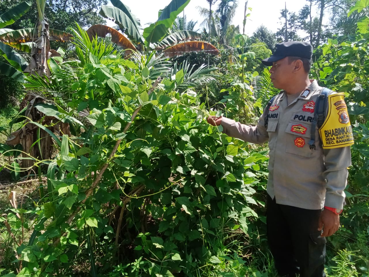 Personil Polsek Sanaman Mantikei Cek Lokasi Pemanfaatan Pekarangan Warga.