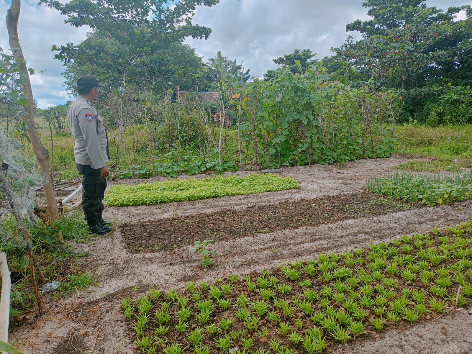 Mendukung ketahanan pangan, Personil Polsek Katingan Kuala cek lokasi pemanfaatan lahan warga berkebun holtikultura