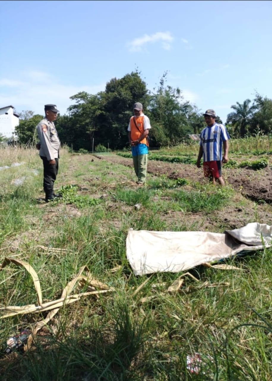 Dalam Rangka Mendukung Program Pemerintah, Bhabinkamtibmas Desa Mekartani Polsek Mendawai Cek Lokasi Pemanfaatan Lahan Pekarangan Warga