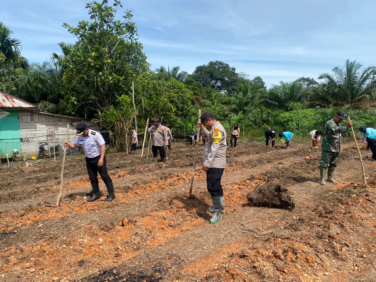 Bhabinkamtibmas Bersama Perangkat Desa Gelar Penanaman Jagung Serentak Dukung Program Ketahanan Pangan Presiden Prabowo