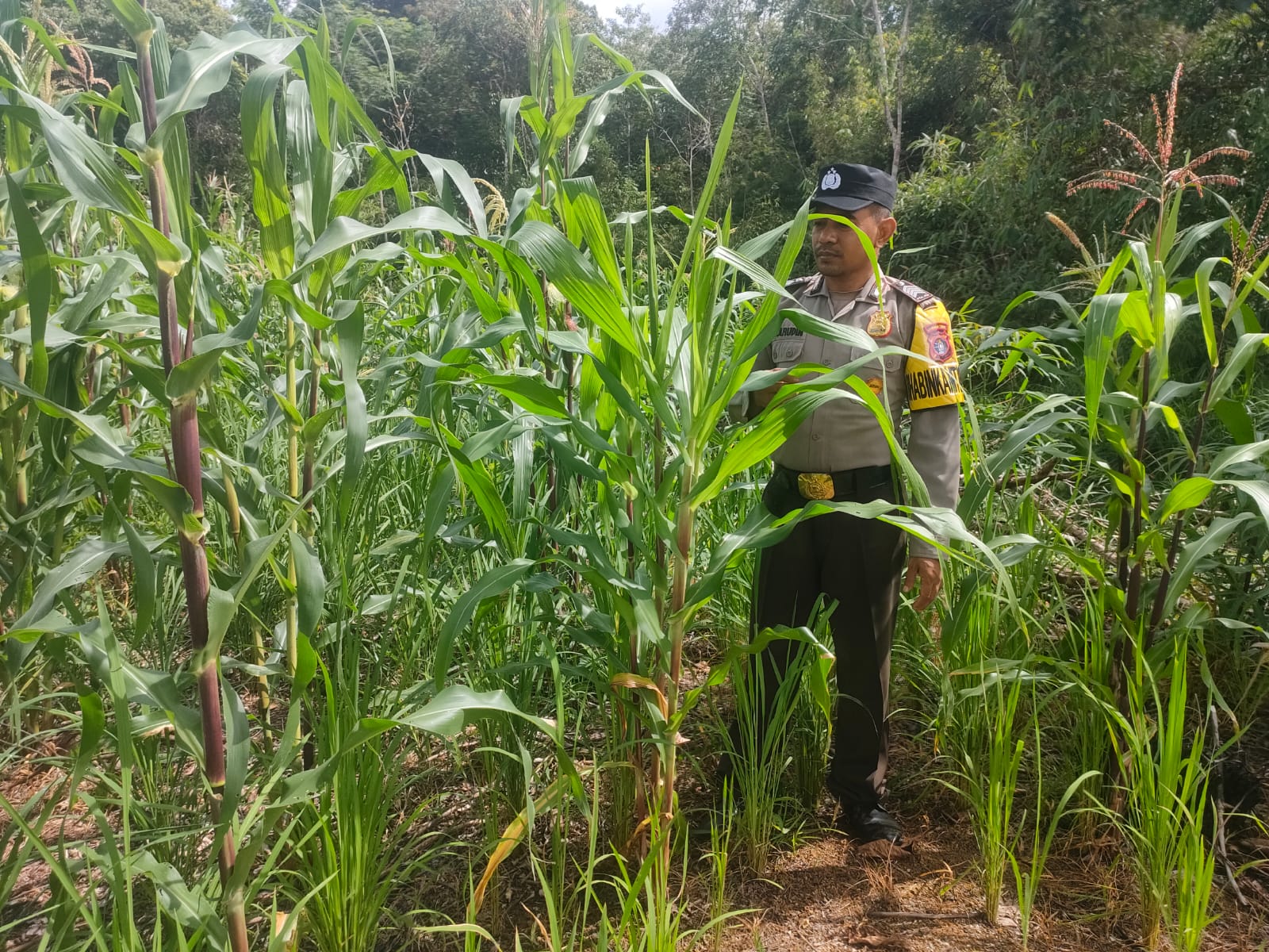 Dukung Asta Cita Polsek Marikit Cek Lokasi Pemanfaatan Pekarangan Warga di Kec. Marikit, Kab. Katingan