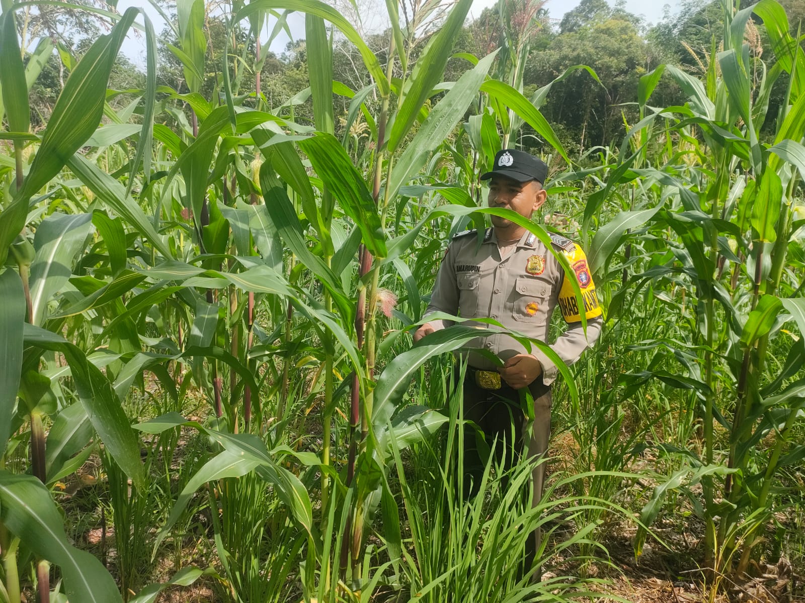 Mendukung Ketahanan Pangan, Personil Polsek Katingan Hulu dan Bukit Raya Cek Lokasi Pemanfaatan Pekarangan Warga.