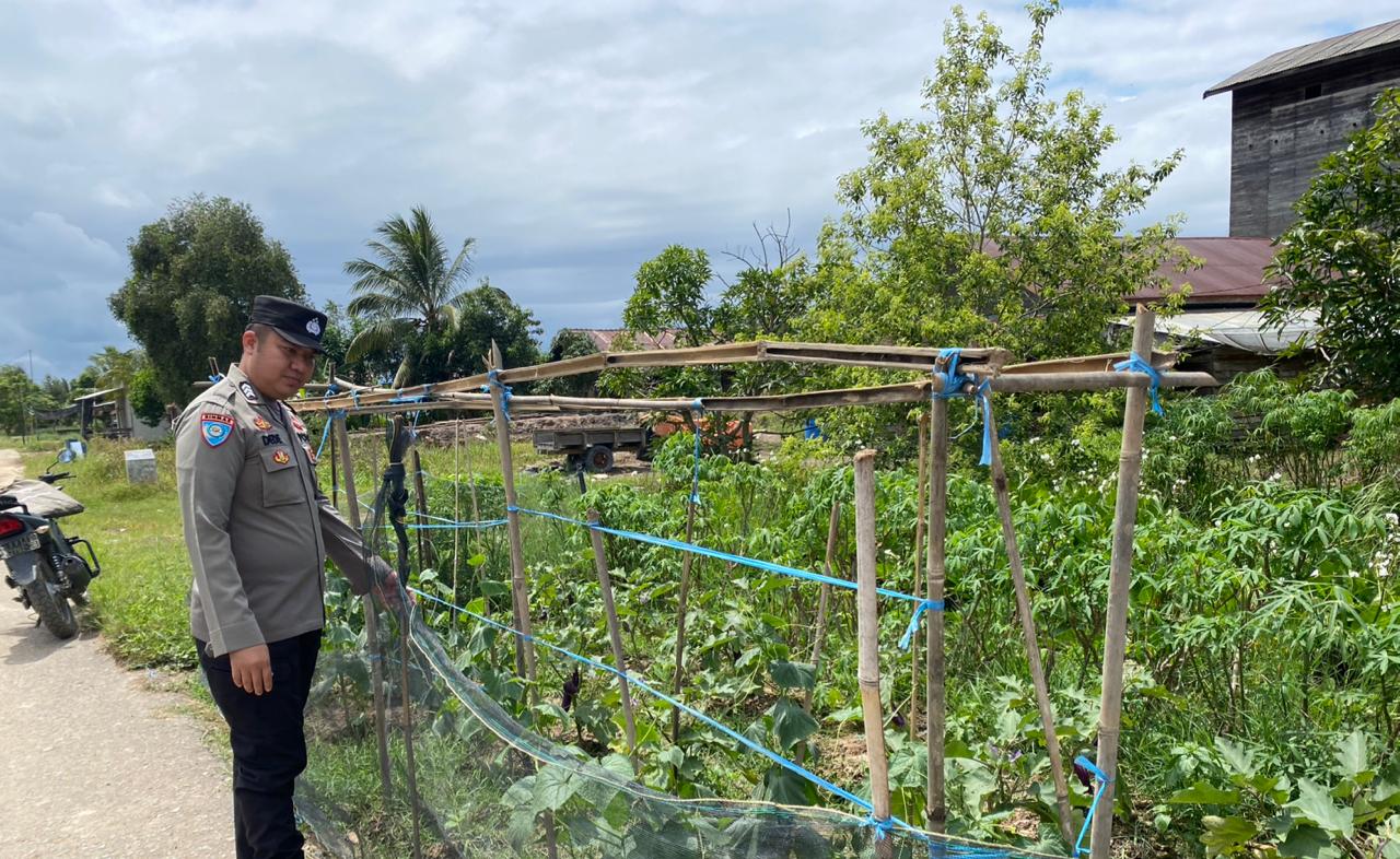 Bhabinkamtibmas Desa Jaya Makmur Cek Lokasi Pemanfaatan Lahan Pekarangan Warga