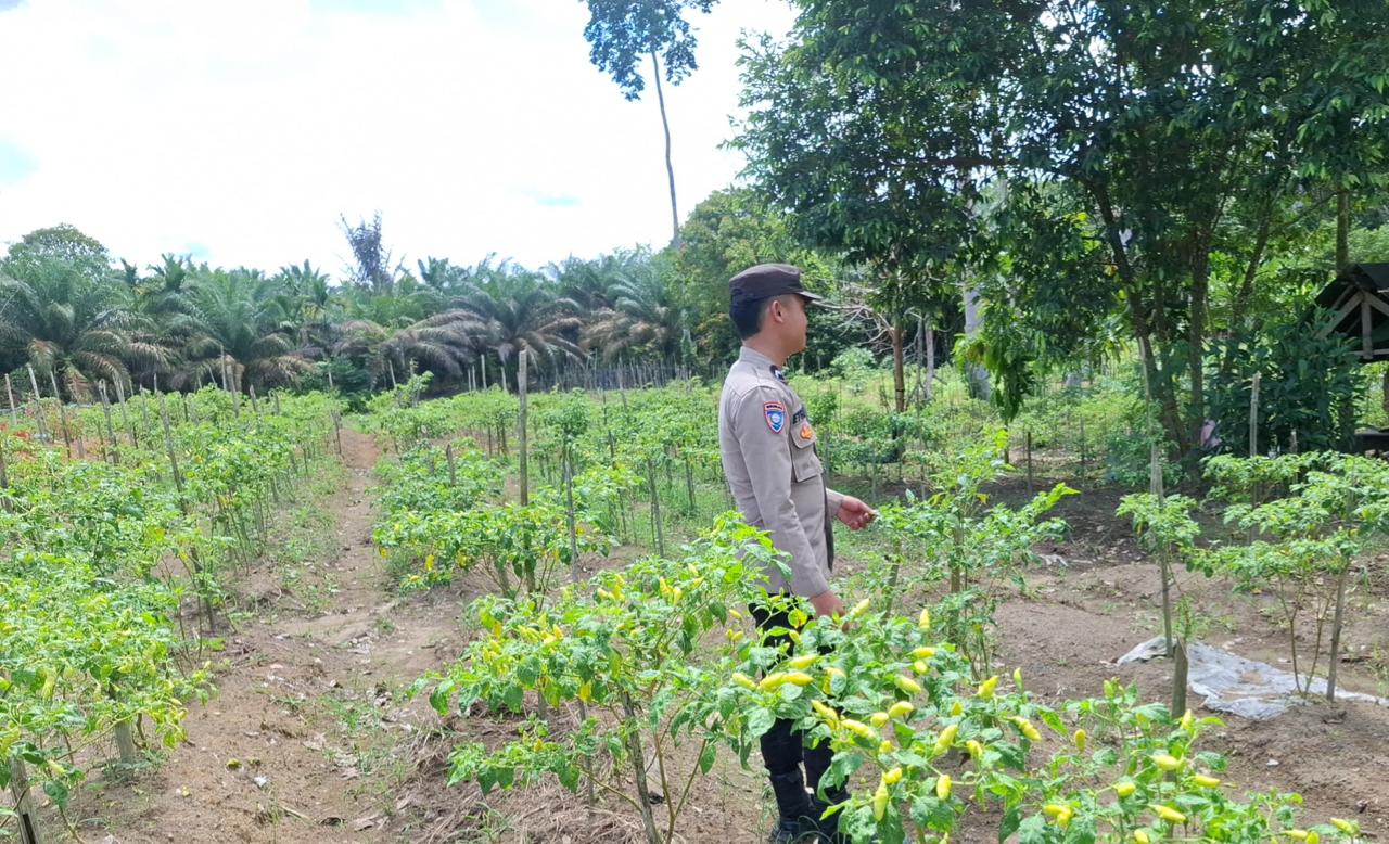 Dukung Ketahanan Pangan, Bhabinkamtibmas Polsek Lamandau Silaturahmi ke masyarakat terkait Program Asta Cita Presiden RI