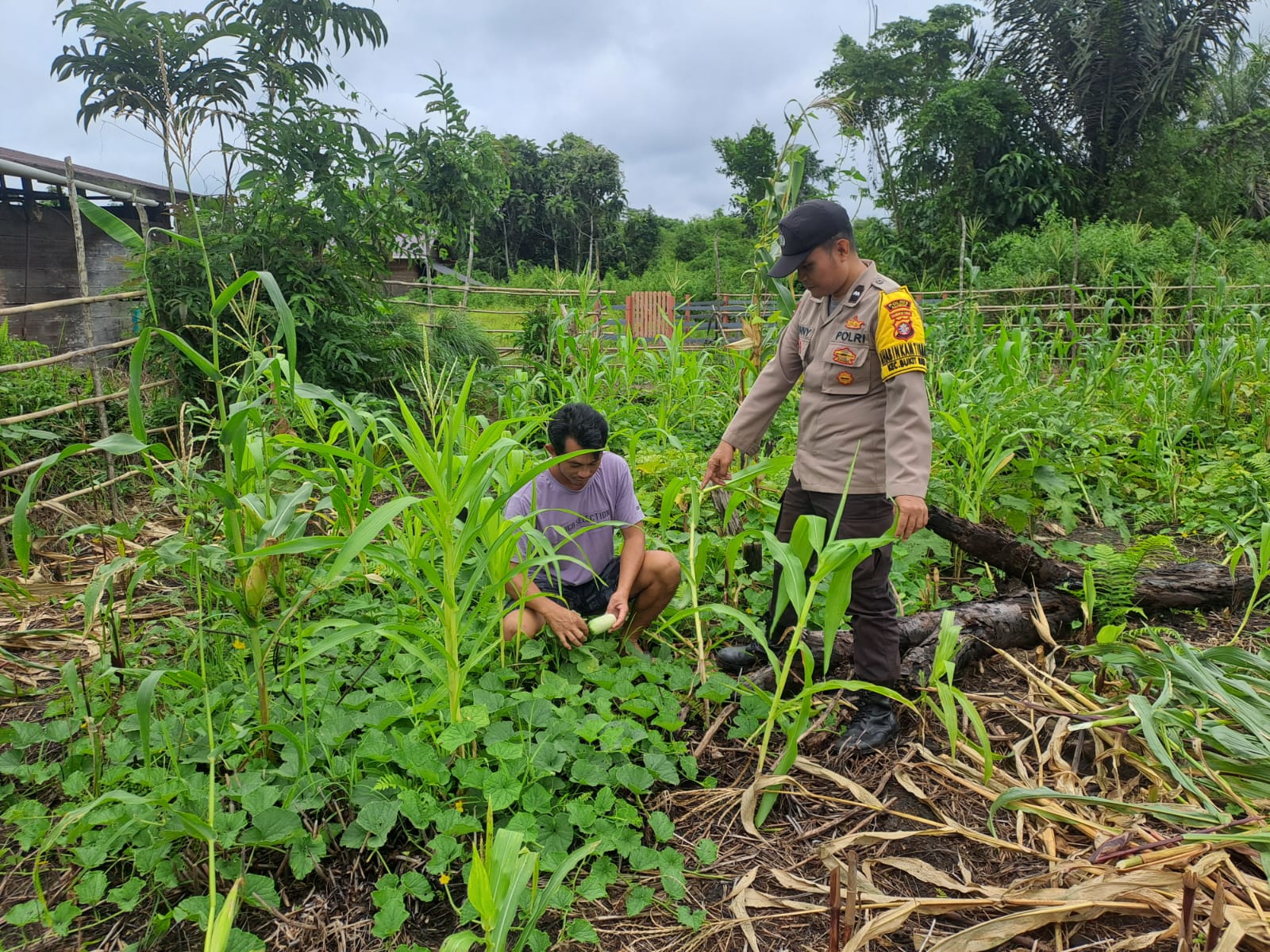 Mendukung Ketahanan Pangan, Personil Polsek Katingan Hulu dan Bukit Raya Cek Lokasi Pemanfaatan Pekarangan Warga.
