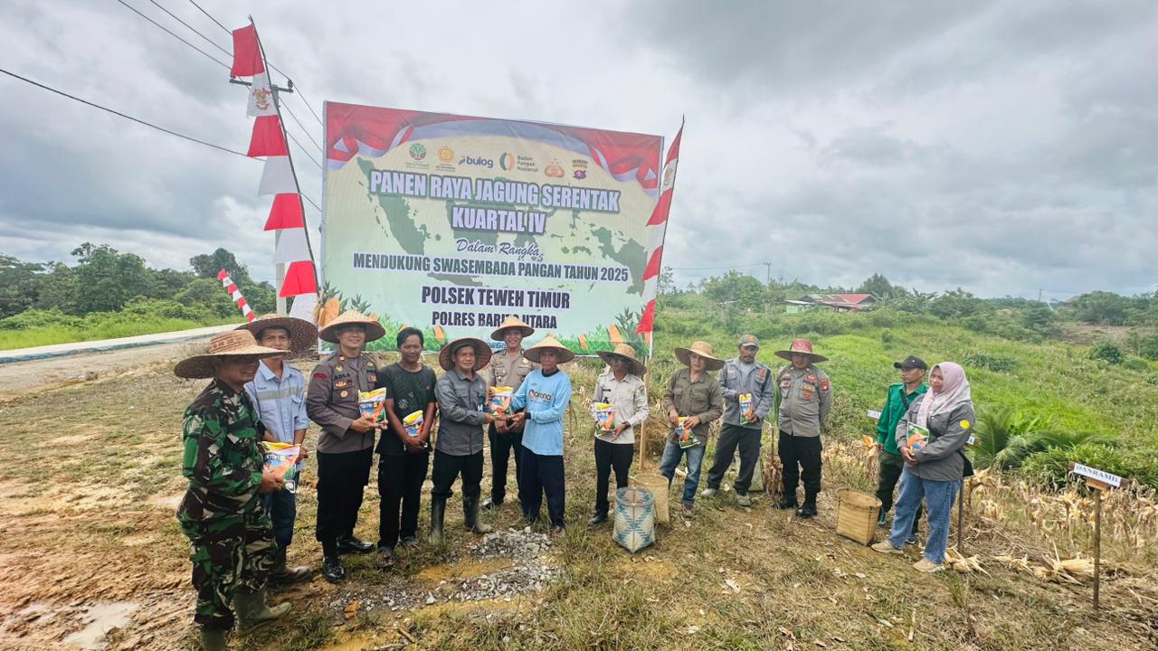 Polsek Teweh Timur Gelar Panen Jagung Serentak Kuartal IV, Wujud Implementasi Asta Cita Pemerintah RI di Bidang Ketahanan Pangan