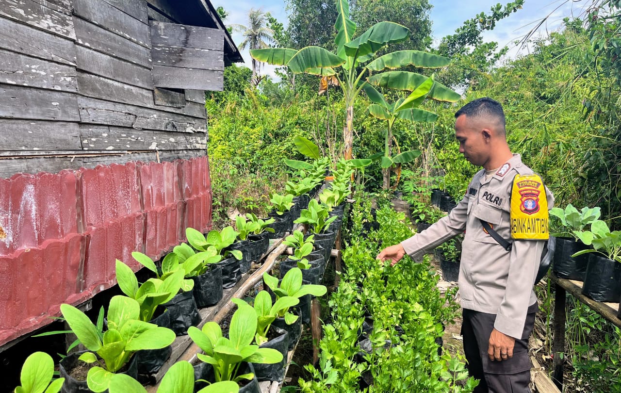 Dalam Rangka Mendukung Program Ketahanan Pangan,Personil Polsek Katingan Kuala Rutin Melakukan Pengecekan Lokasi Pemanfaatan Lahan Pekarangan Warga