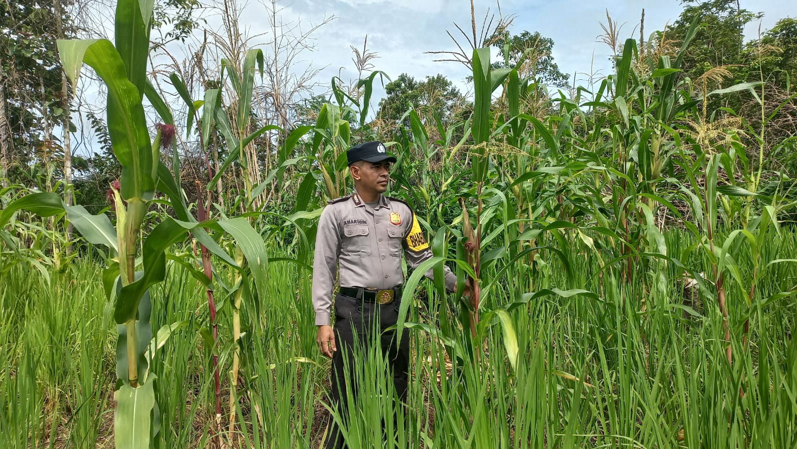 Dukung Ketahanan Pangan, Piket Polsek Marikit Cek Lokasi Pemanfaatan Pekarangan.