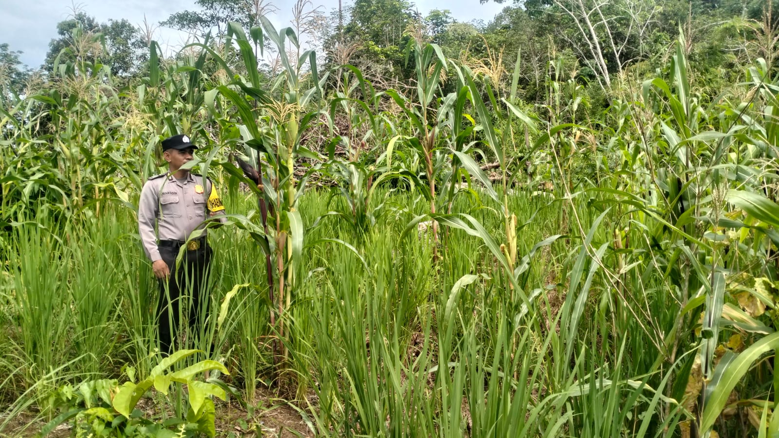 Personil Cek Lokasi Pemanfaatan Pekarangan Warga di Kec. Marikit, Kab. Katingan.