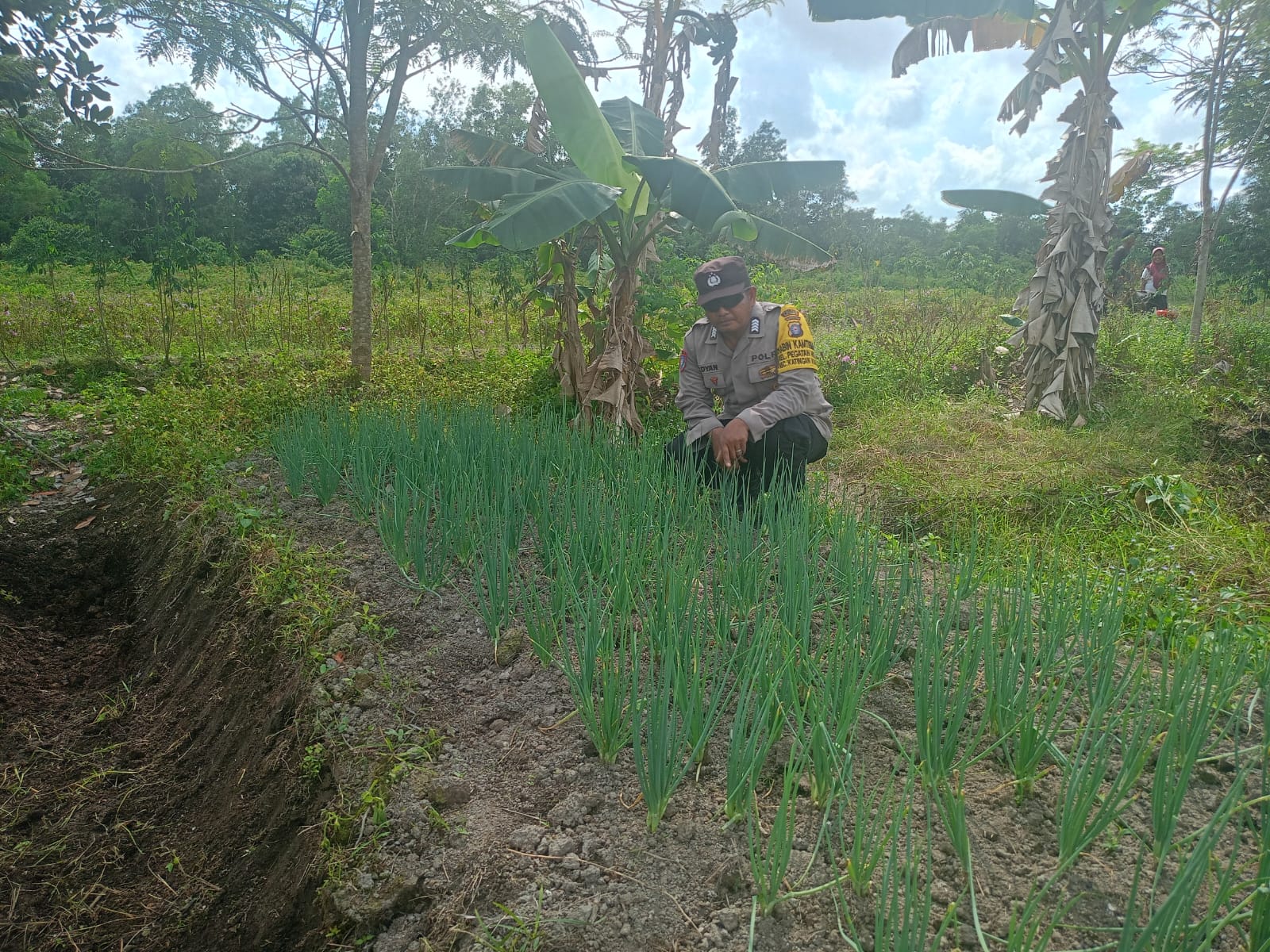 Mendukung ketahanan pangan, Personil Polsek Katingan Kuala cek lokasi pemanfaatan lahan warga berkebun holtikultura