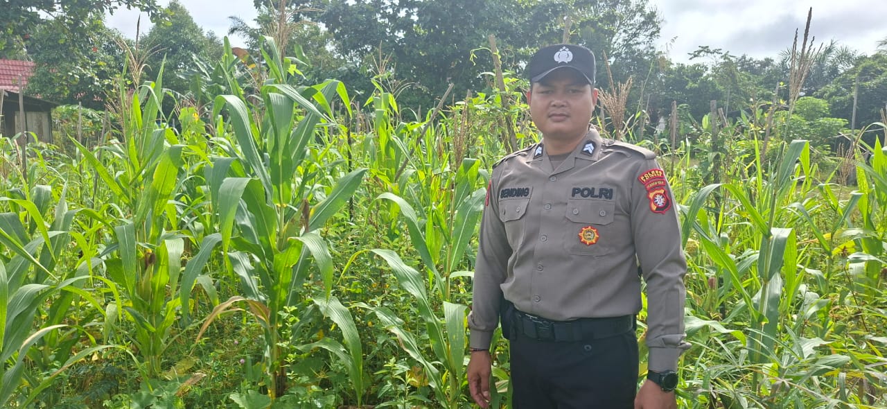 Mendukung Ketahanan Pangan, Personil Polsek sanaman mantikei Cek Lokasi Pemanfaatan Pekarangan Warga.