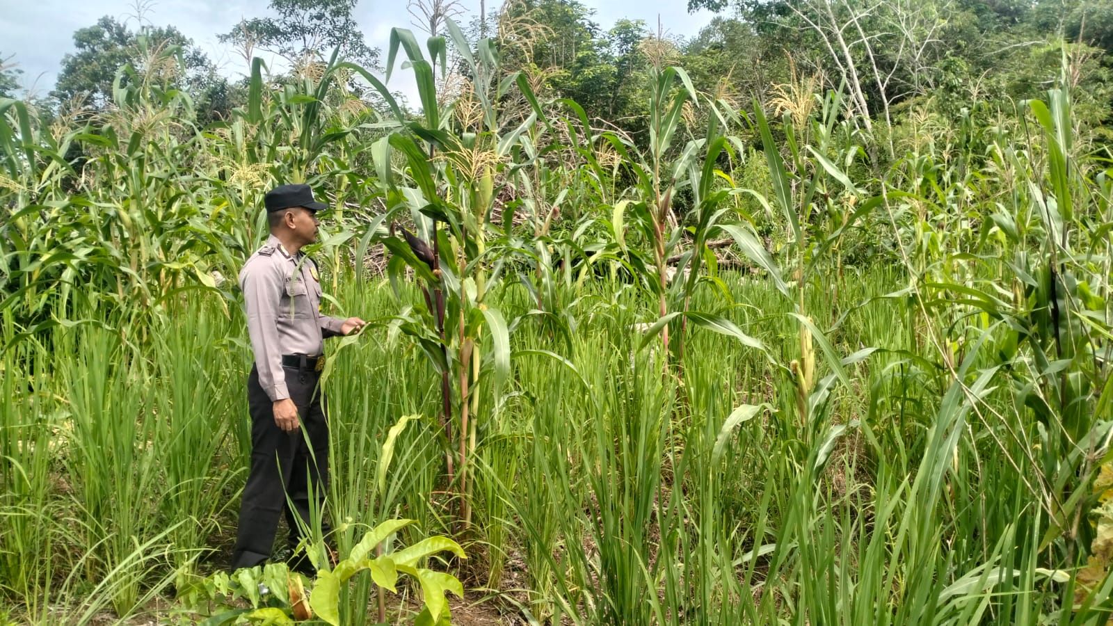 Personil Cek Lokasi Pemanfaatan Pekarangan Warga di Kec. Marikit, Kab. Katingan.