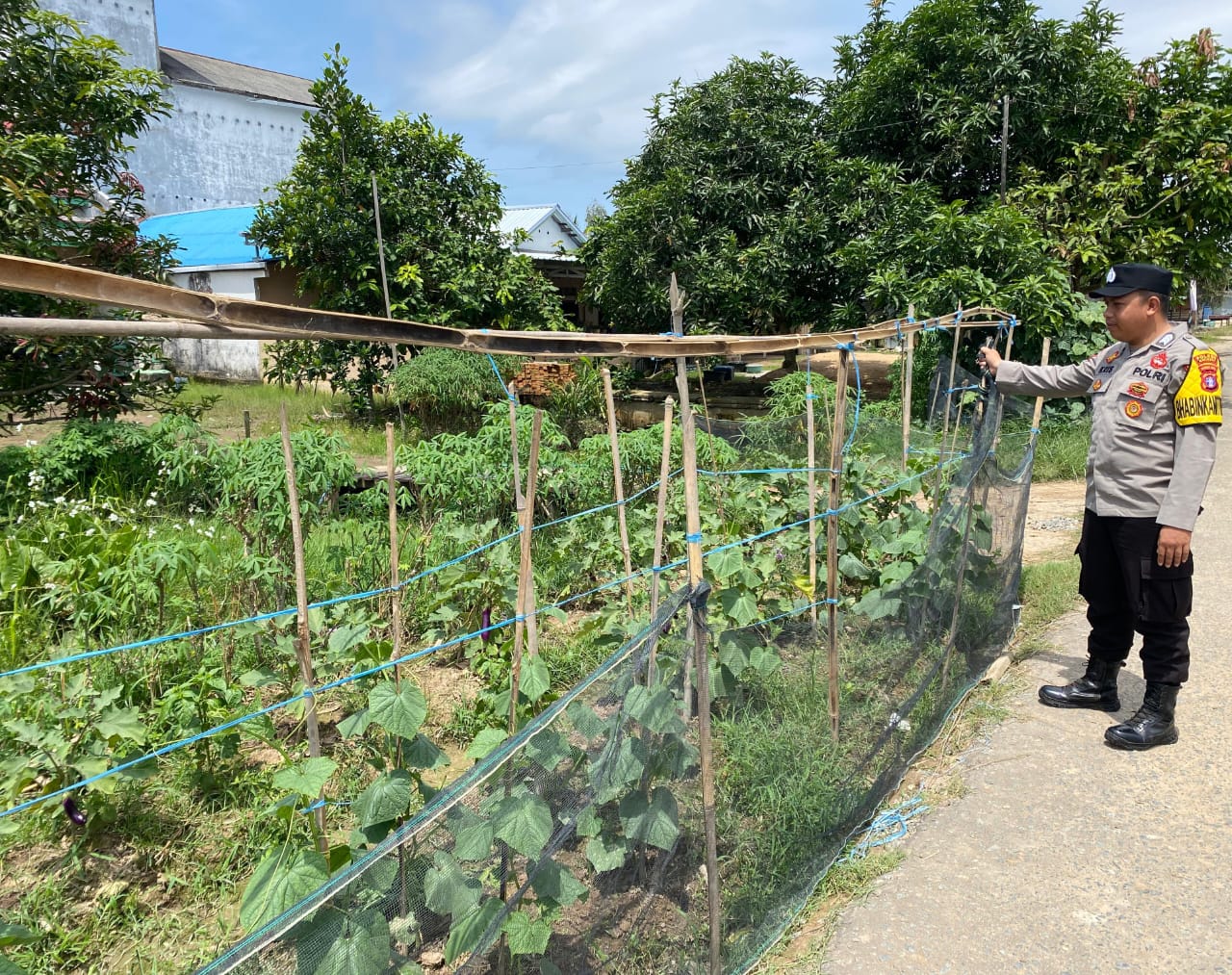 Mendukung Program Ketahanan Pangan, Personil Polsek Katingan Kuala Melakukan Pengecekan Lokasi Pemanfaatan Lahan Pekarangan Warga