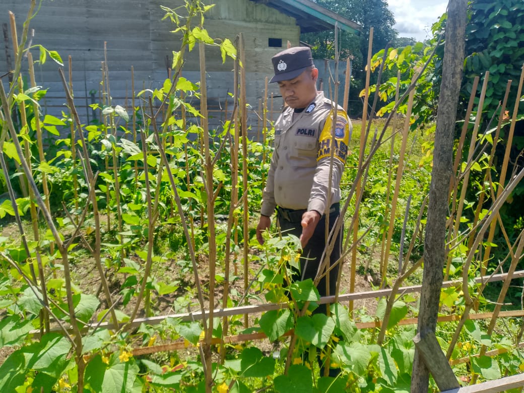 Polsek Marikit melaksanakan kegiatan pengecekan pemanfaatan lahan dalam program Ketahanan Pangan bentuk Dukungan terhadap Kebijakan Presiden RI tentang Asta Cita Ketahanan Pangan