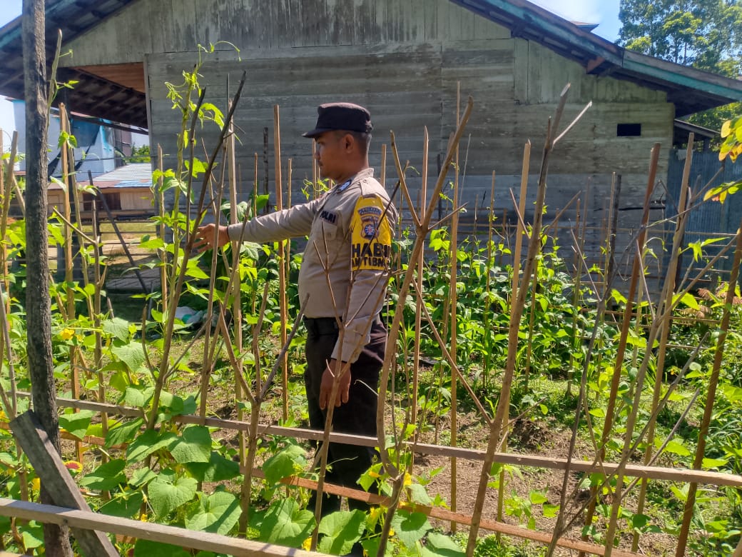 Polsek Marikit melaksanakan kegiatan pengecekan pemanfaatan lahan dalam program Ketahanan Pangan bentuk Dukungan terhadap Kebijakan Presiden RI tentang Asta Cita Ketahanan Pangan