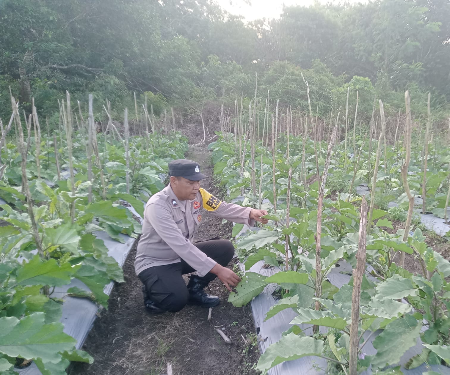 Dalam Rangka Mendukung Program Pemerintah, Bhabinkamtibmas Desa Kampung melayu Polsek Mendawai Cek Lokasi Pemanfaatan Lahan Pekarangan Warga