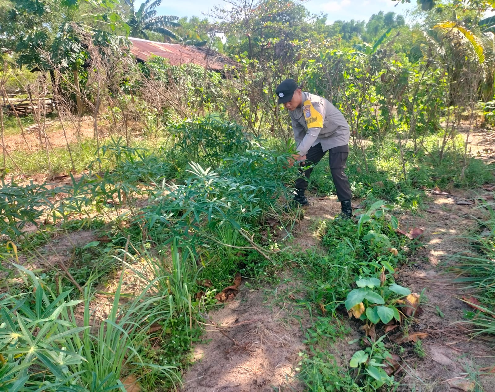 Upaya Pencegahan Kebakaran Hutan dan Lahan di Kecamatan Katingan Hulu, Bhabinkamtibmas sosialisasi kepada masyarakat.