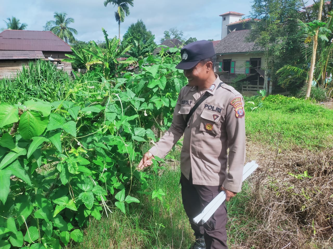Mendukung Ketahanan Pangan, Personil Polsek sanaman mantikei Cek Lokasi Pemanfaatan Pekarangan Warga.