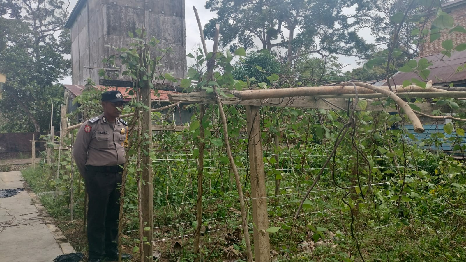 Dalam Rangka Mendukung Program Pemerintah, Bhabinkamtibmas Desa Mekartani Polsek Mendawai Cek Lokasi Pemanfaatan Lahan Pekarangan Warga