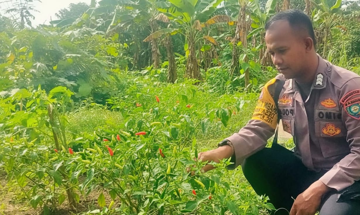 Bhabinkamtibmas Polsek Katingan Kuala cek lokasi pemanfaatan pekarangan rumah warga binaan