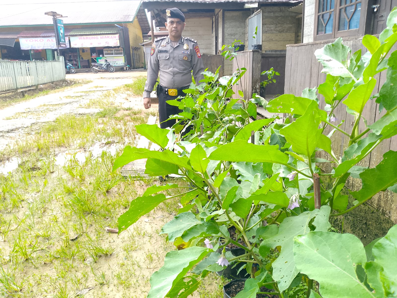 Personil Piket Polsek Marikit melaksanakan kegiatan pengecekan pemanfaatan lahan dalam program Ketahanan Pangan bentuk Dukungan terhadap Kebijakan Presiden RI tentang Asta Cita Ketahanan Pangan