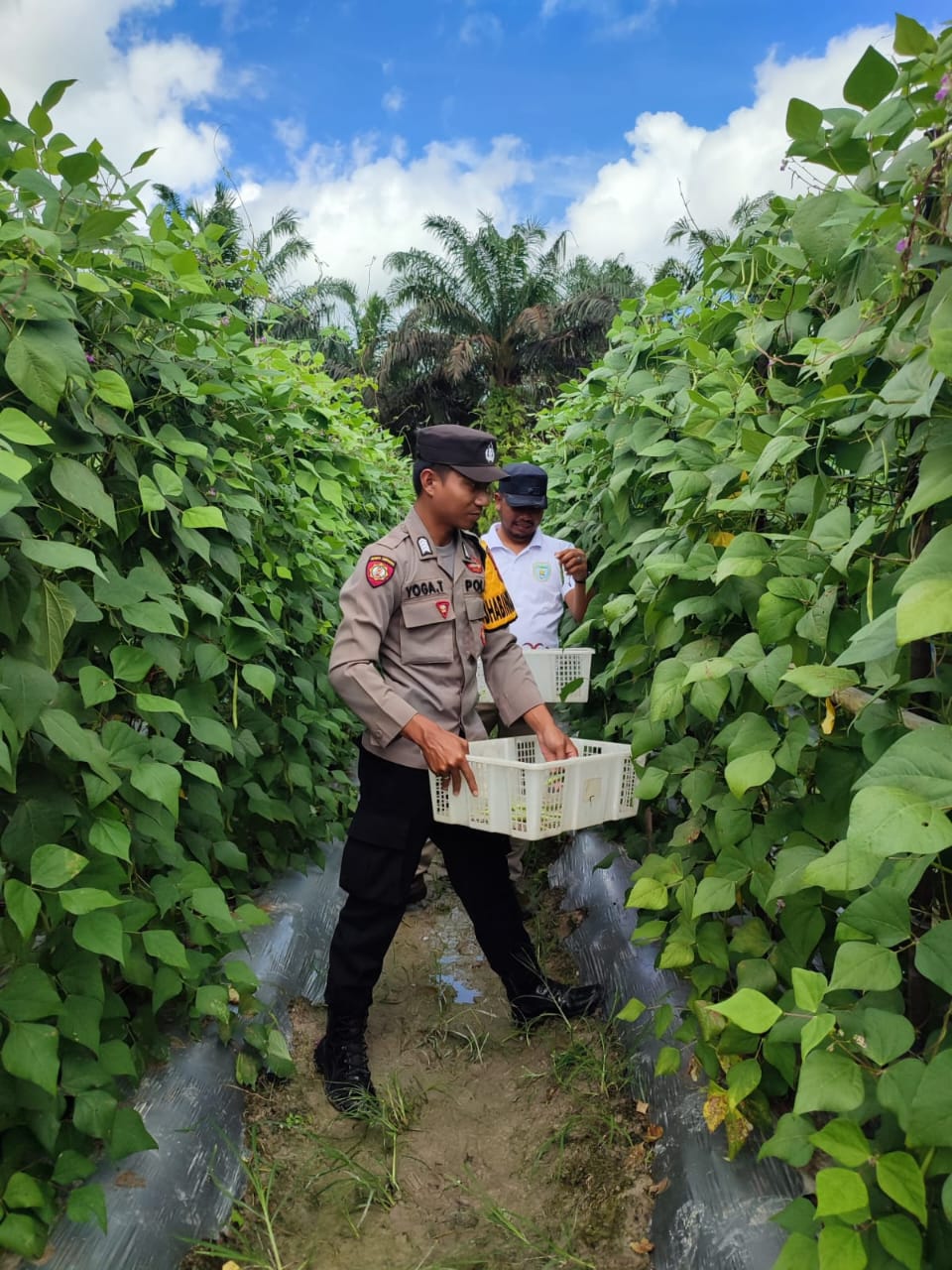 Bhabinkamtibmas Polsek Sematu Jaya Sambang ke masyarakat Terkait Ketahanan Pangan