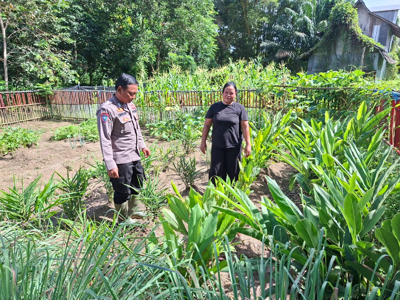 Dukung Ketahanan Pangan, Bhabinkamtibmas Polsek Bulik Silaturahmi ke masyarakat terkait Program Asta Cita Presiden RI