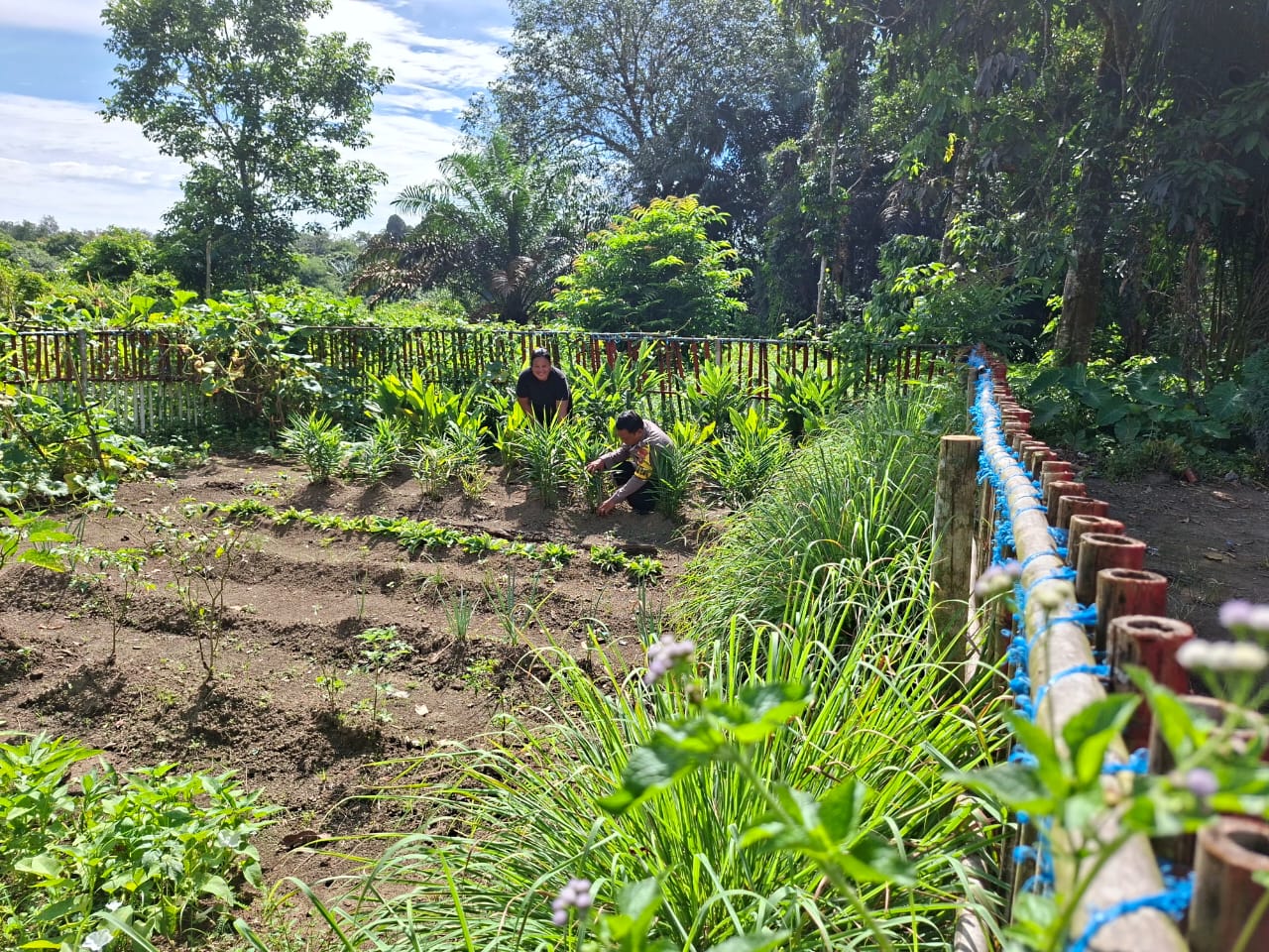 Dukung Ketahanan Pangan, Bhabinkamtibmas Polsek Bulik Silaturahmi ke masyarakat terkait Program Asta Cita Presiden RI