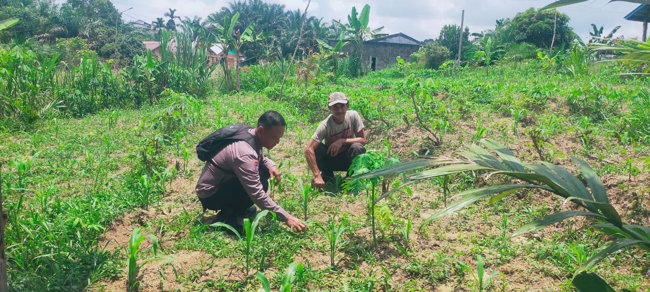 Dukung Ketahanan Pangan, Bhabinkamtibmas Polsek Bulik Silaturahmi ke masyarakat terkait Program Asta Cita Presiden RI