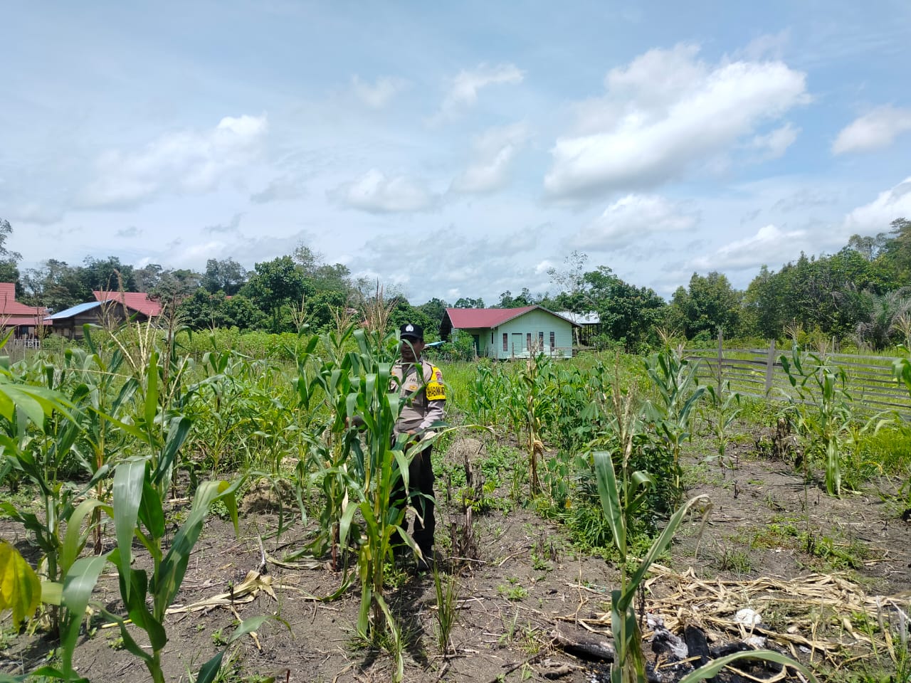 Personil Polsek Marikit Cek Lokasi Pemanfaatan Pekarangan Warga di Kec. Marikit, Kab. Katingan.