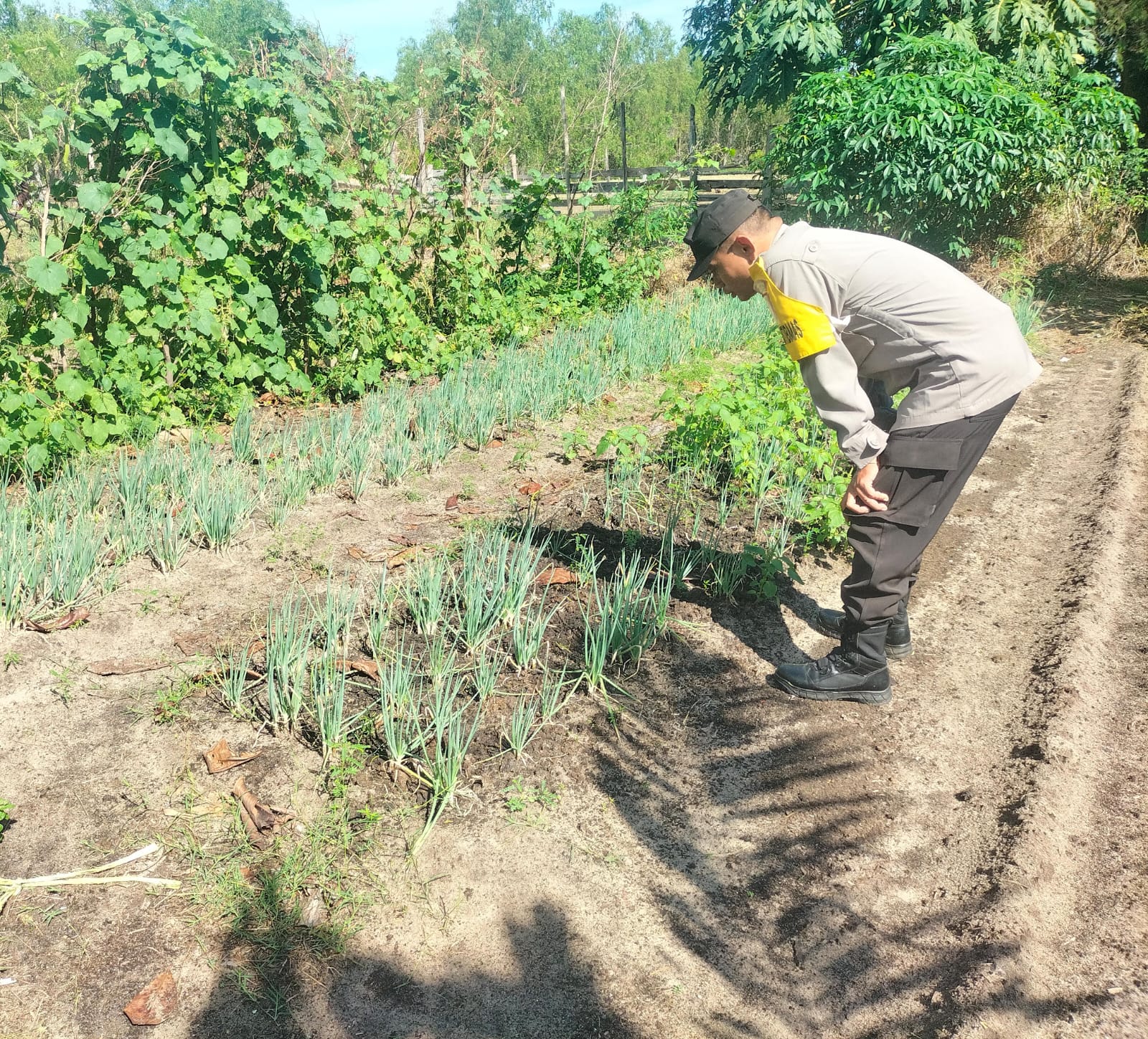 Bhabinkamtibmas Desa Kampung Tengah Cek Lokasi Pemanfaatan Lahan Pekarangan Warga