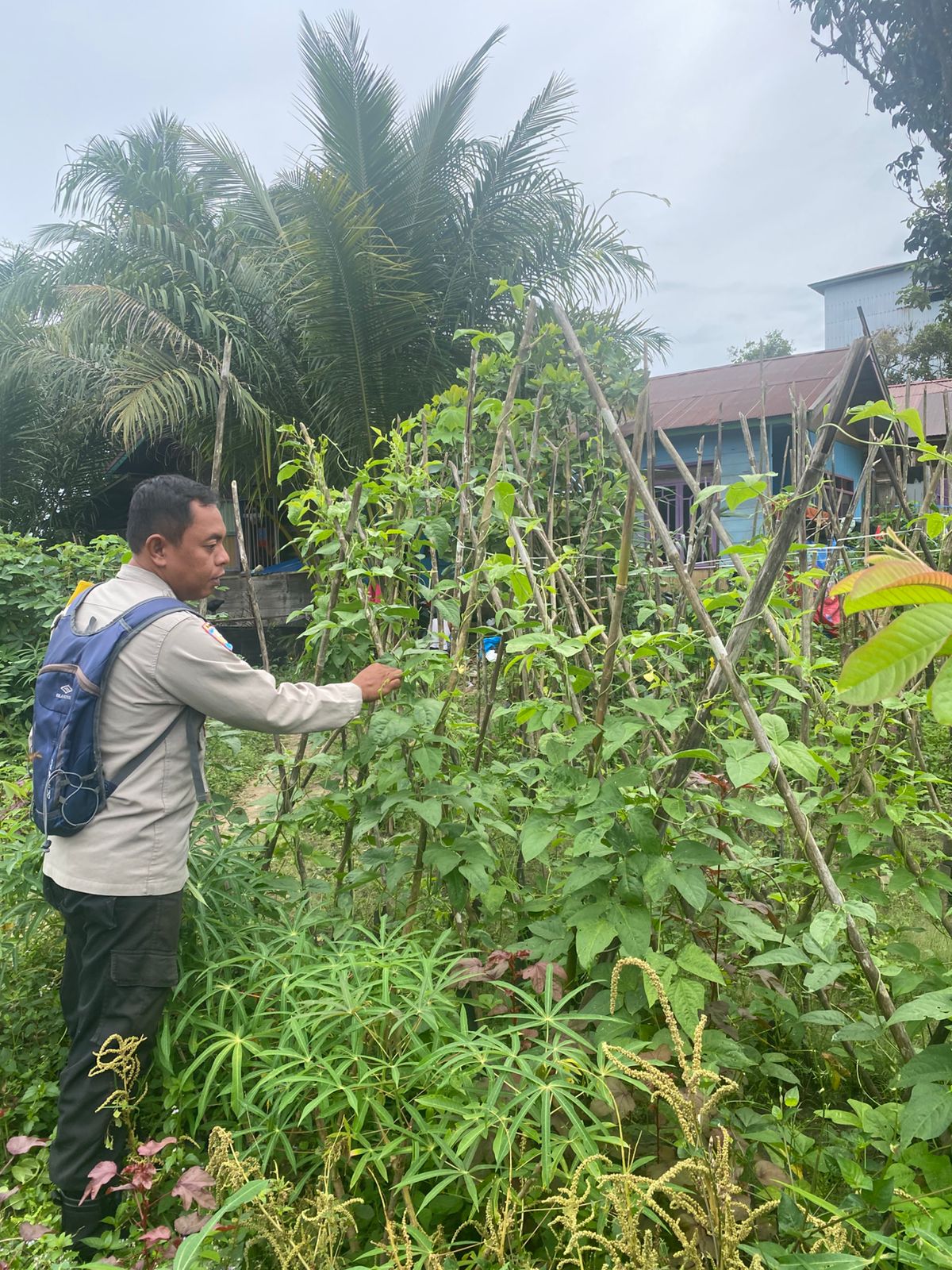 Personil Polsek Sanaman Mantikei Cek Lokasi Pemanfaatan Pekarangan Warga.