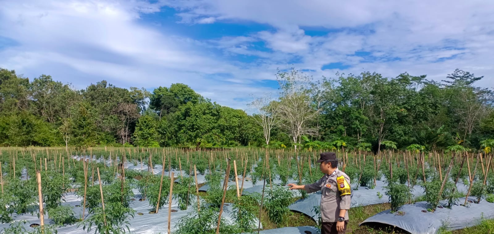 Dalam Rangka Mendukung Program Pemerintah, Bhabinkamtibmas Polsek Mendawai Cek Lokasi Pemanfaatan Lahan Pekarangan Warga