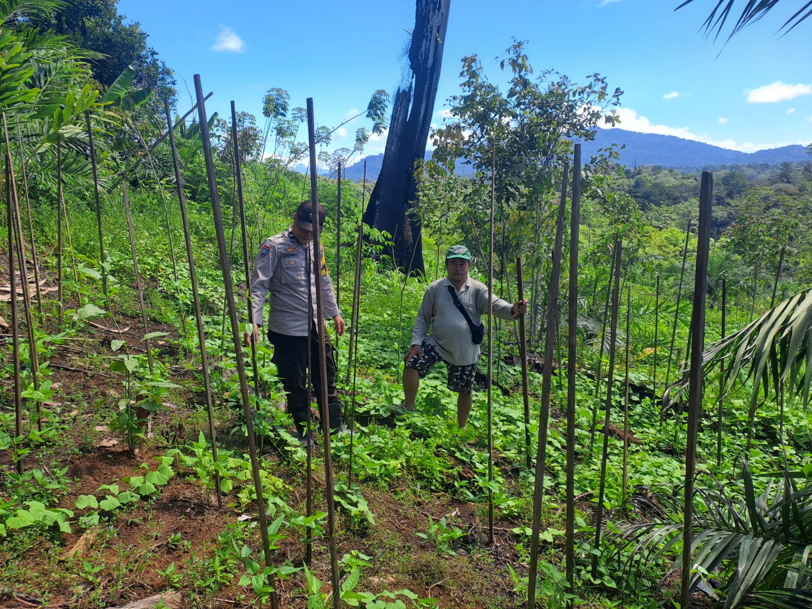 Mendukung Ketahanan Pangan, Personil Polsek Katingan Hulu dan Bukit Raya Cek Lokasi Pemanfaatan Pekarangan Warga.