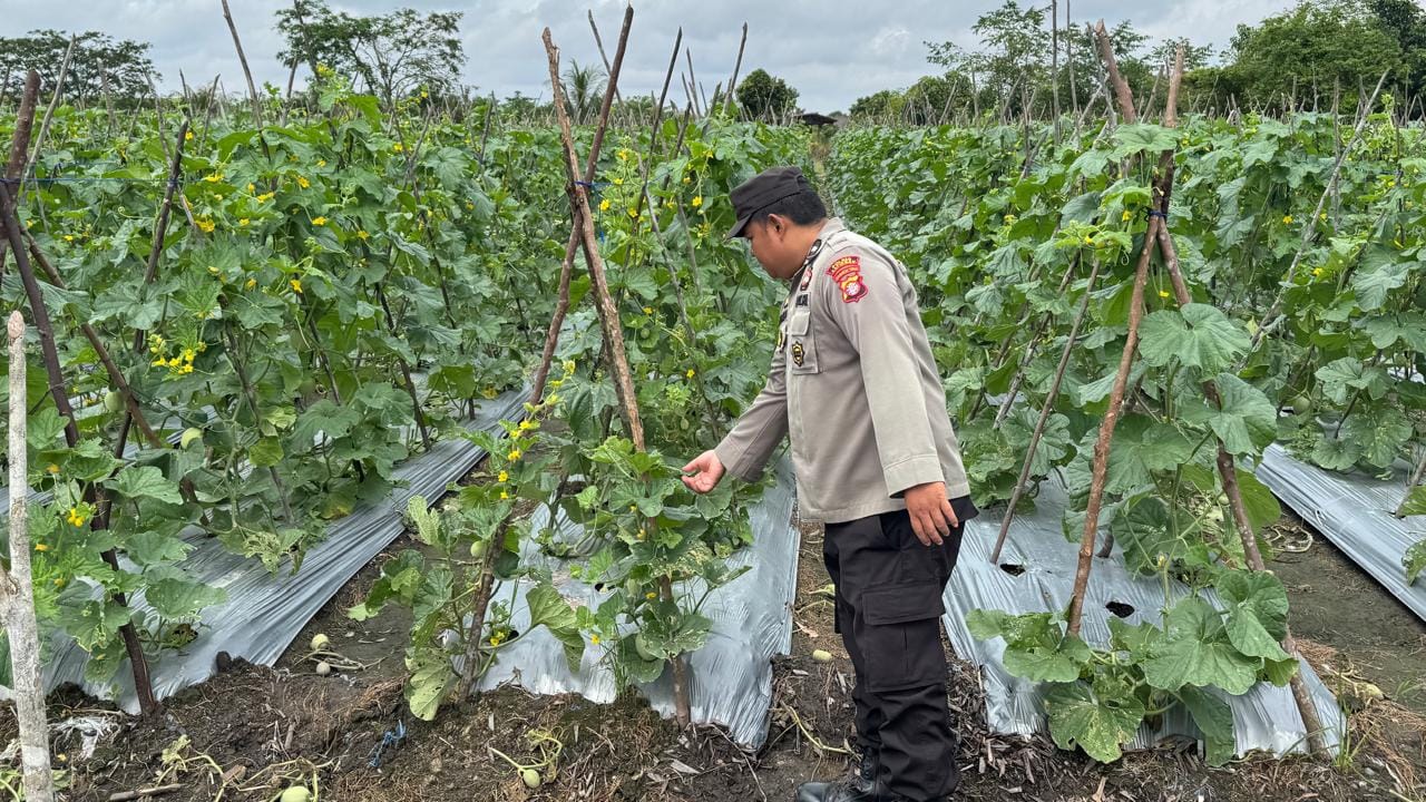 Polsek Tewang Sangalang Garing dan Pulau Malan Imbau Warga Tingkatkan Pemanfaatan Lahan Untuk Ketahanan Pangan