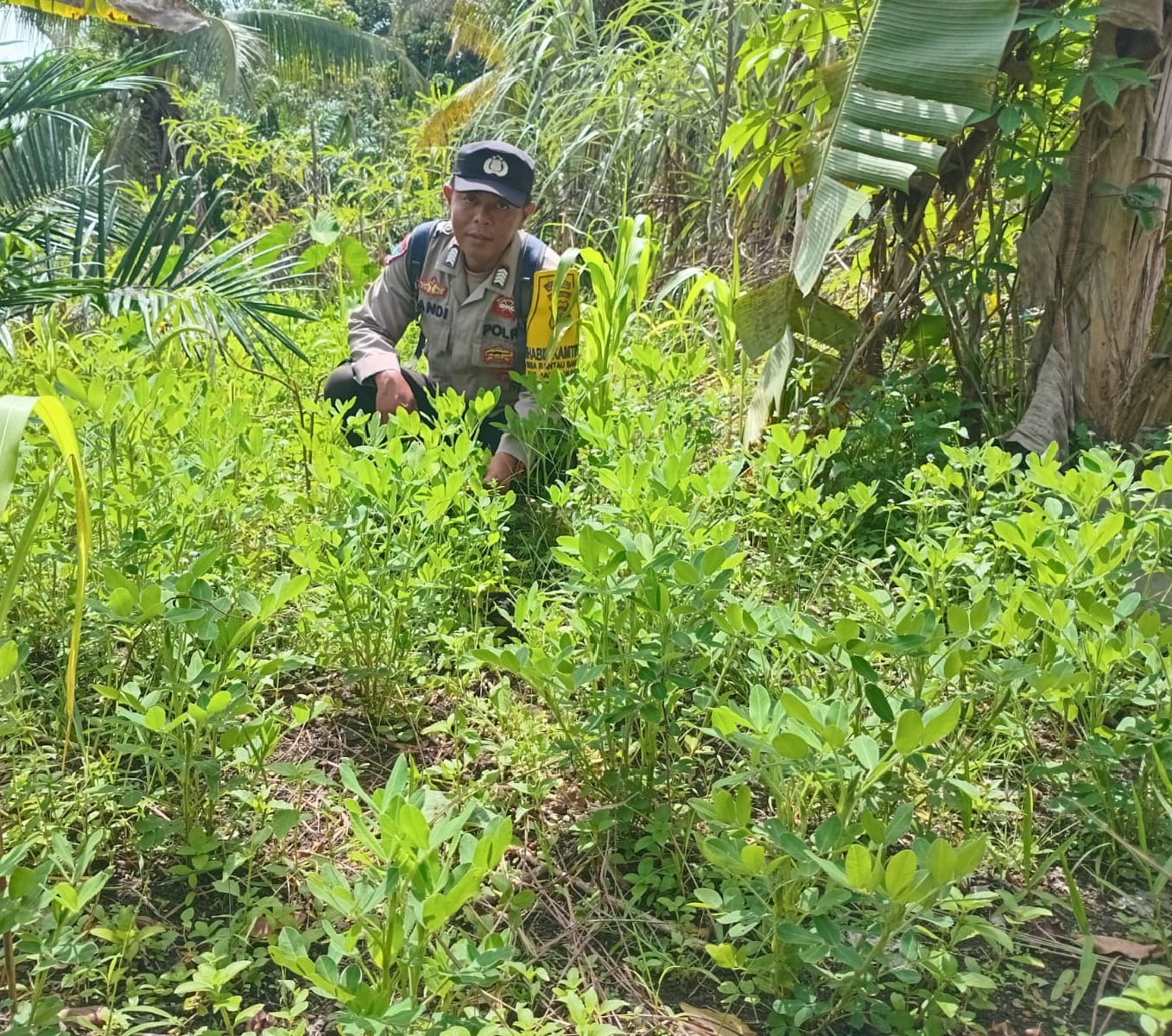 Personil Polsek Sanaman Mantikei Cek Lokasi Pemanfaatan Pekarangan Warga.