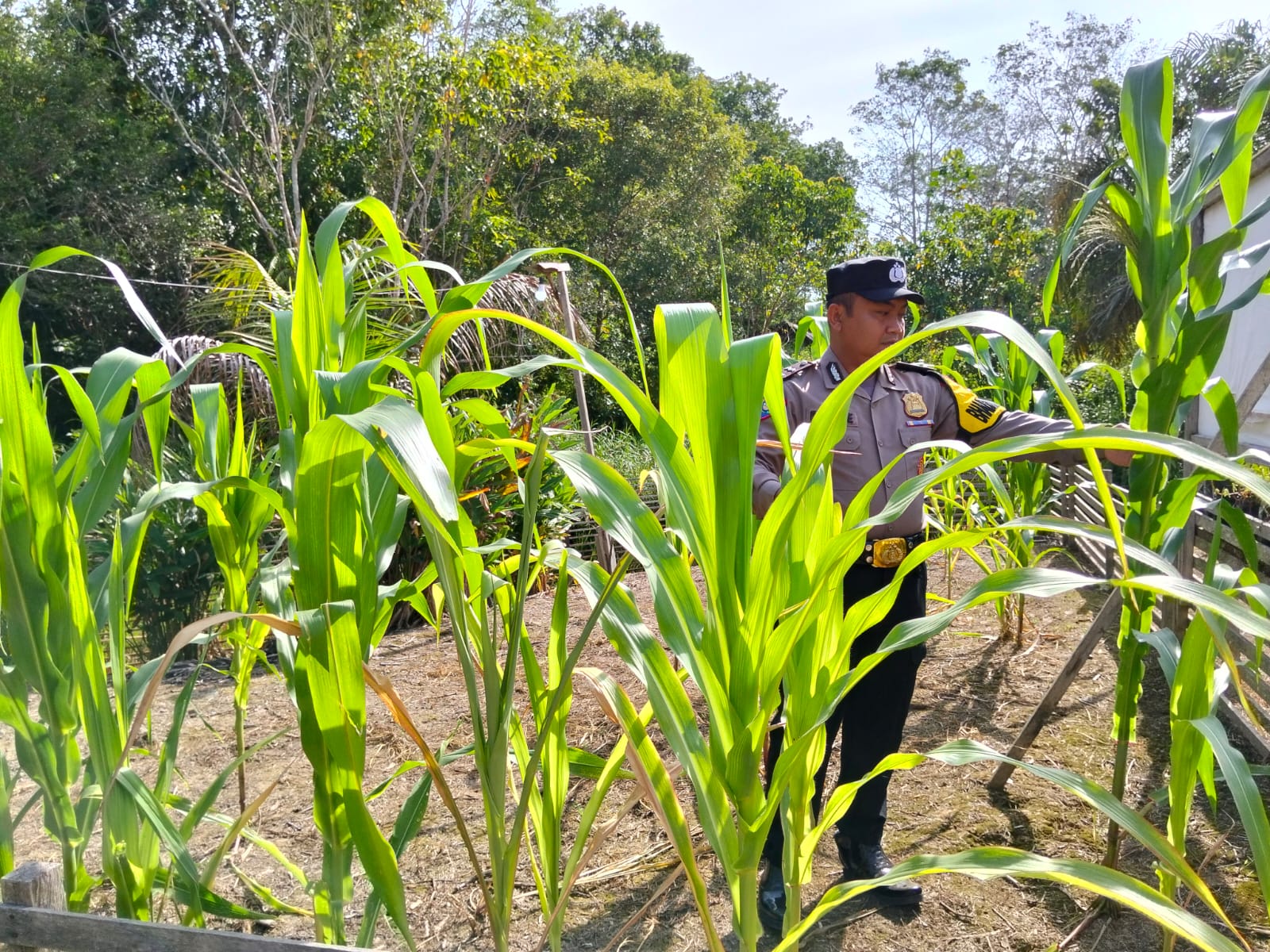 Polsek Marikit Cek Lokasi Pemanfaatan Pekarangan Warga di Kec. Marikit, Kab. Katingan Dukung Program Ketahanan Pangan.
