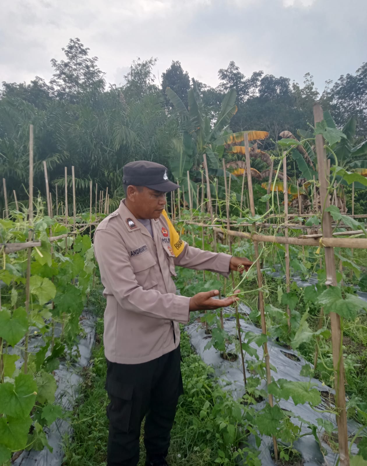 Dalam Rangka Mendukung Program Pemerintah, Bhabinkamtibmas Desa Kampung melayu Polsek Mendawai Cek Lokasi Pemanfaatan Lahan Pekarangan Warga