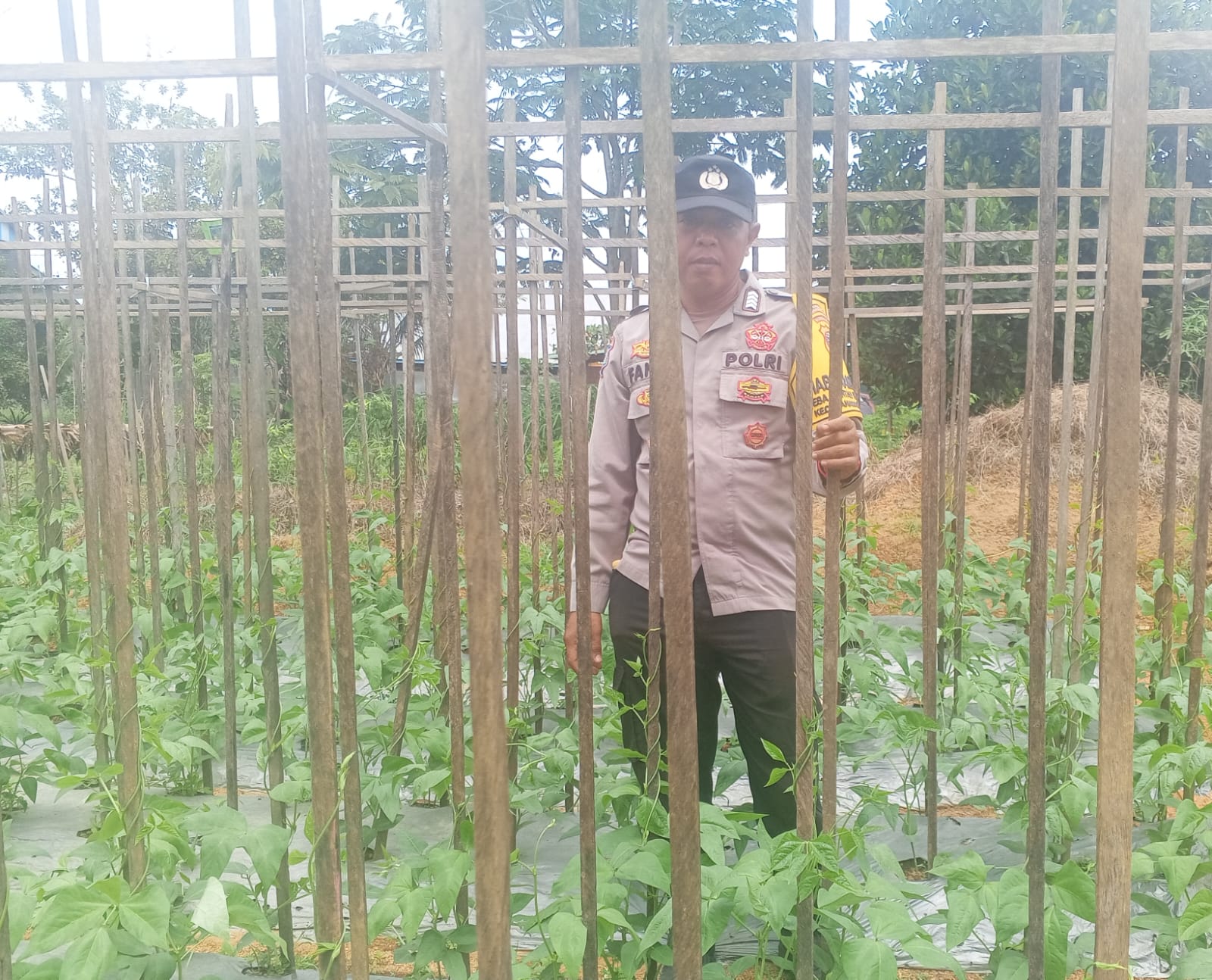 Personil Polsek Sanaman Mantikei Cek Lokasi Pemanfaatan Pekarangan Warga.