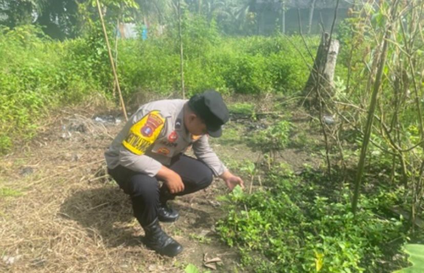 Bhabinkamtibmas Polsek Sanaman Mantikei Cek Lokasi Pemanfaatan Pekarangan Warga.