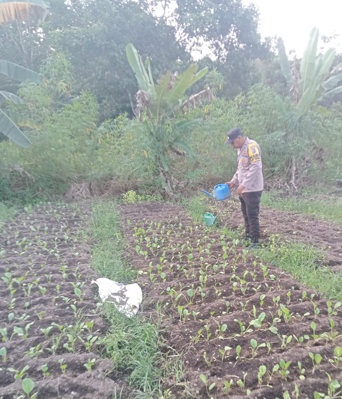 Dalam Rangka Mendukung Program Pemerintah, Bhabinkamtibmas Desa Kampung melayu Polsek Mendawai Cek Lokasi Pemanfaatan Lahan Pekarangan Warga