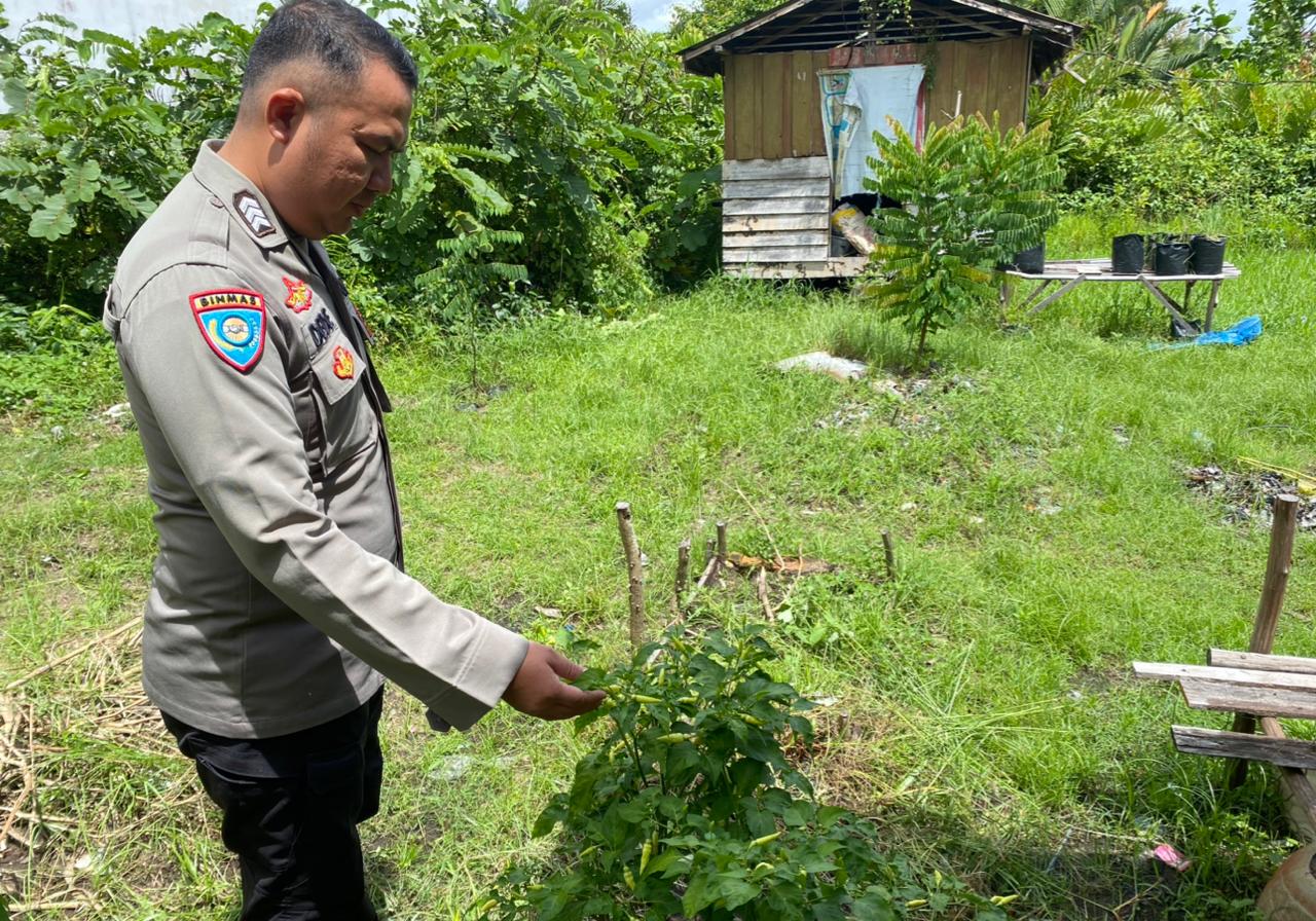 Bhabinkamtibmas Desa Jaya Makmur Cek Lokasi Pemanfaatan Lahan Pekarangan Warga