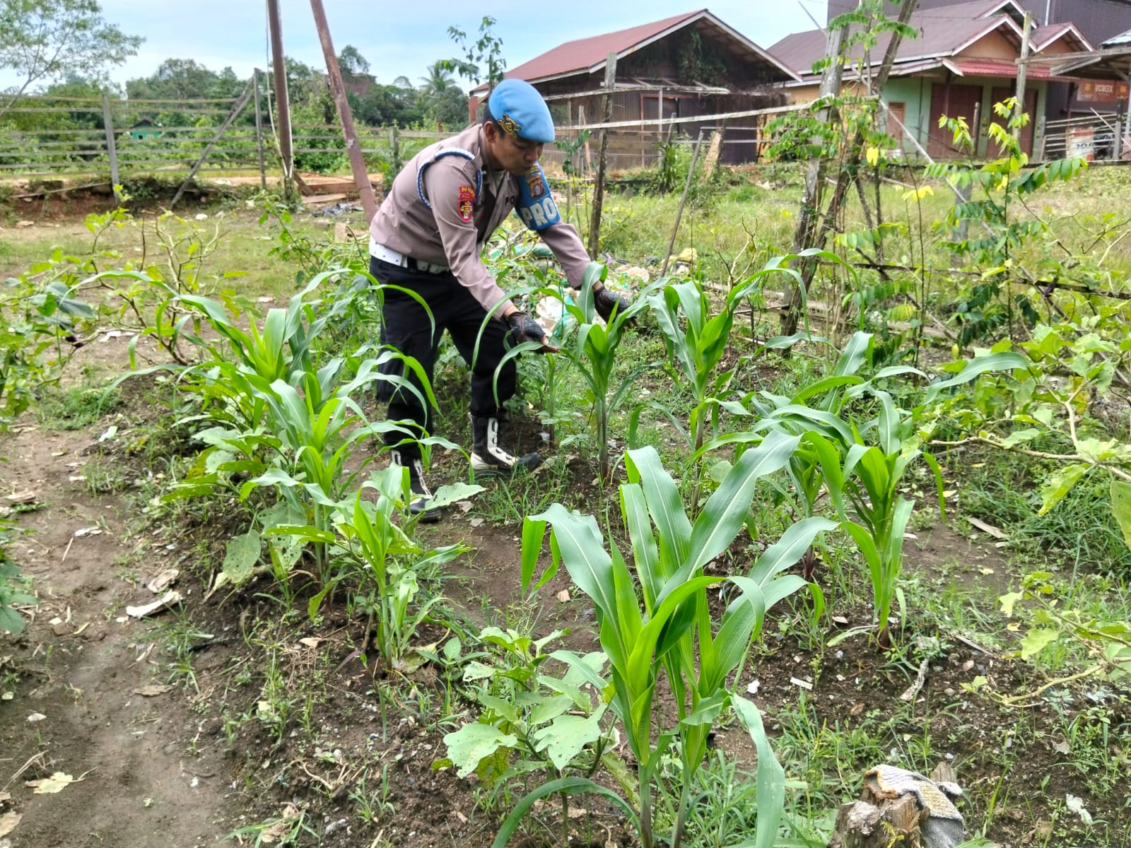 Personil Polsek Marikit Cek Lokasi Pemanfaatan Pekarangan Warga di Kec. Marikit, Kab. Katingan.
